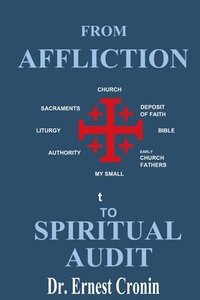 bokomslag From Affliction to Spiritual Audit