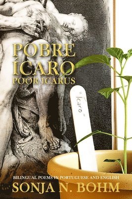 Sonja N Bohm, Sonja N. Bohm - Pobre Ícaro / Poor Icarus, Häftad