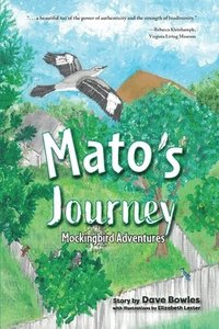 bokomslag Mato's Journey