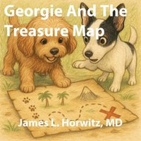 bokomslag Georgie And The Treasure Map