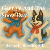bokomslag Georgie And The Snow Day