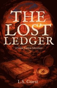 bokomslag Lost Ledger
