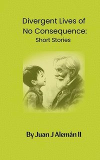 bokomslag Divergent Lives of No Consequence: Short Stories