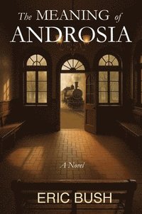 bokomslag Meaning of Androsia