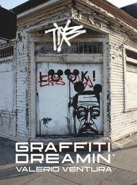 bokomslag Graffiti Dreamin'