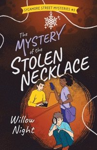 bokomslag The Mystery of the Stolen Necklace