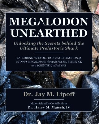 Megalodon Unearthed