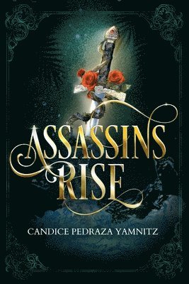 Assassins Rise