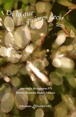 Patricia Schaefer Röder - Di lo que quieres decir 2025, Häftad