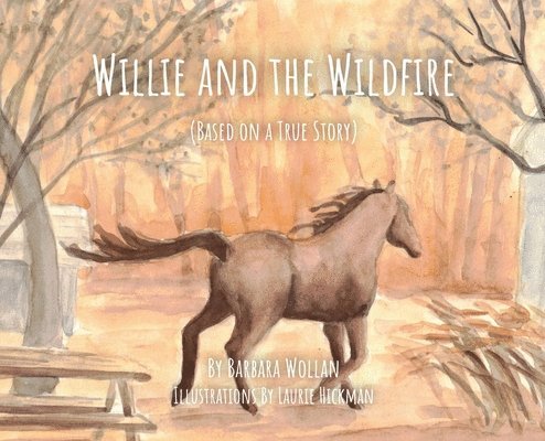 Willie and the Wildfire