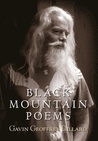 bokomslag Black Mountain Poems