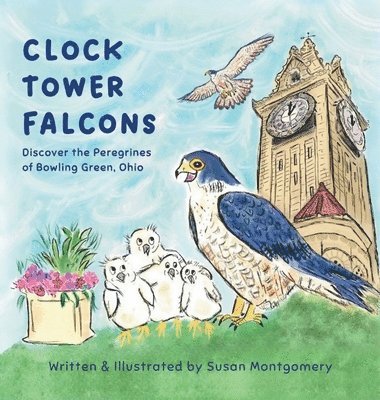 Susan Montgomery - Clock Tower Falcons, Inbunden