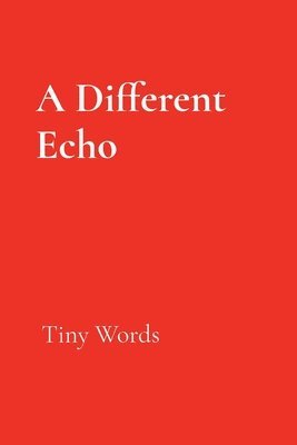 bokomslag Cummings, K: Different Echo