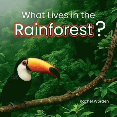 What Lives in the Rainforest?