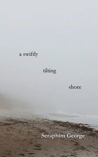 bokomslag Swiftly Tilting Shore
