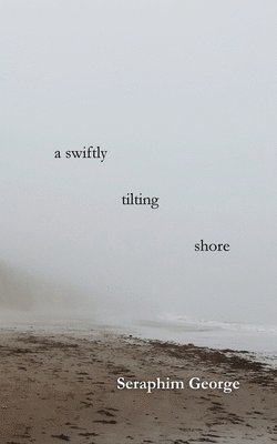 bokomslag Swiftly Tilting Shore