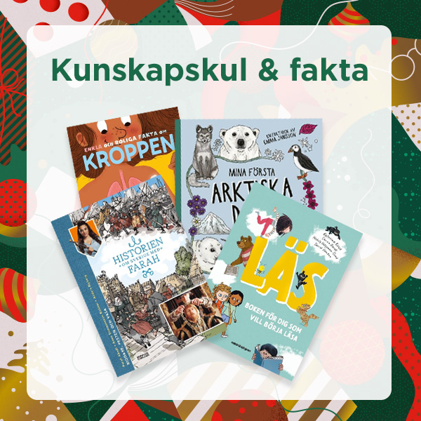 Julklappstips Kunskapskul