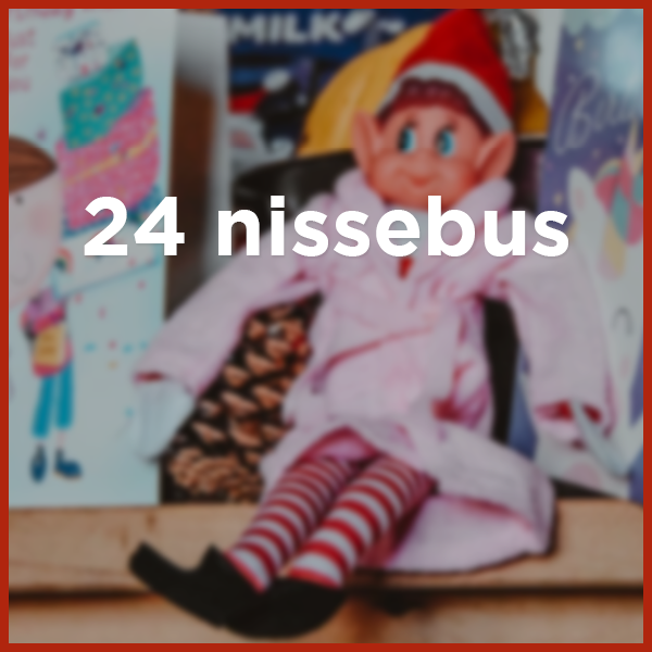 24 nissebus